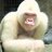 nillag0rilla's profile image