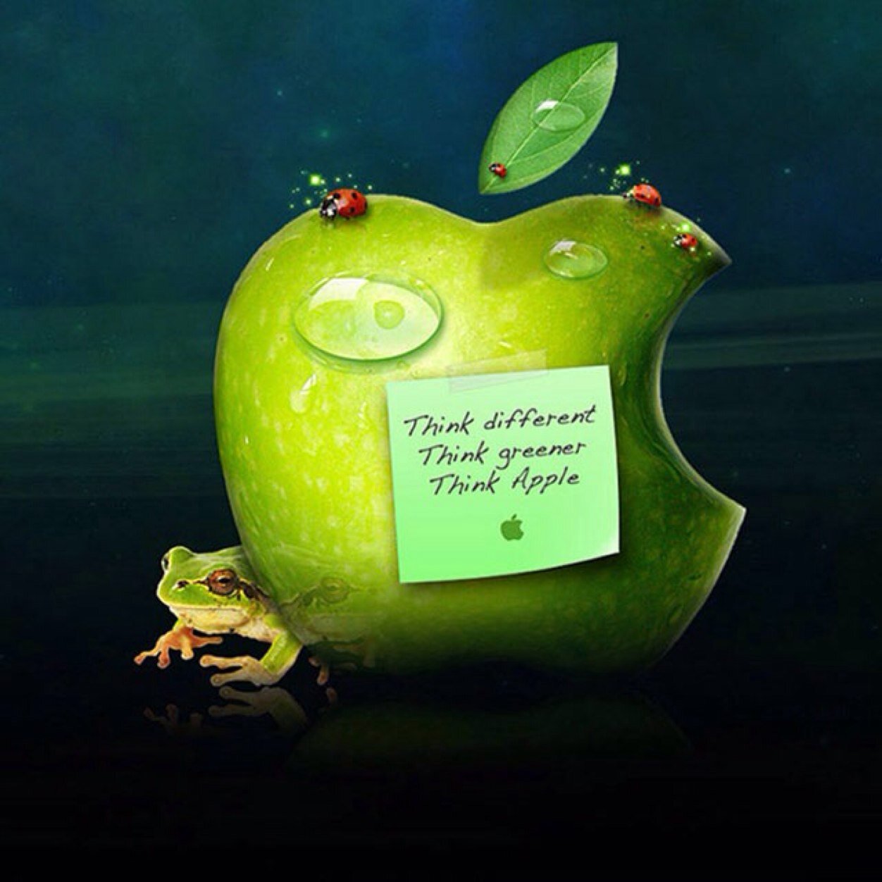 foot4life1's profile picture. fan de foot merci de me suivre et visitez ma page !!!!