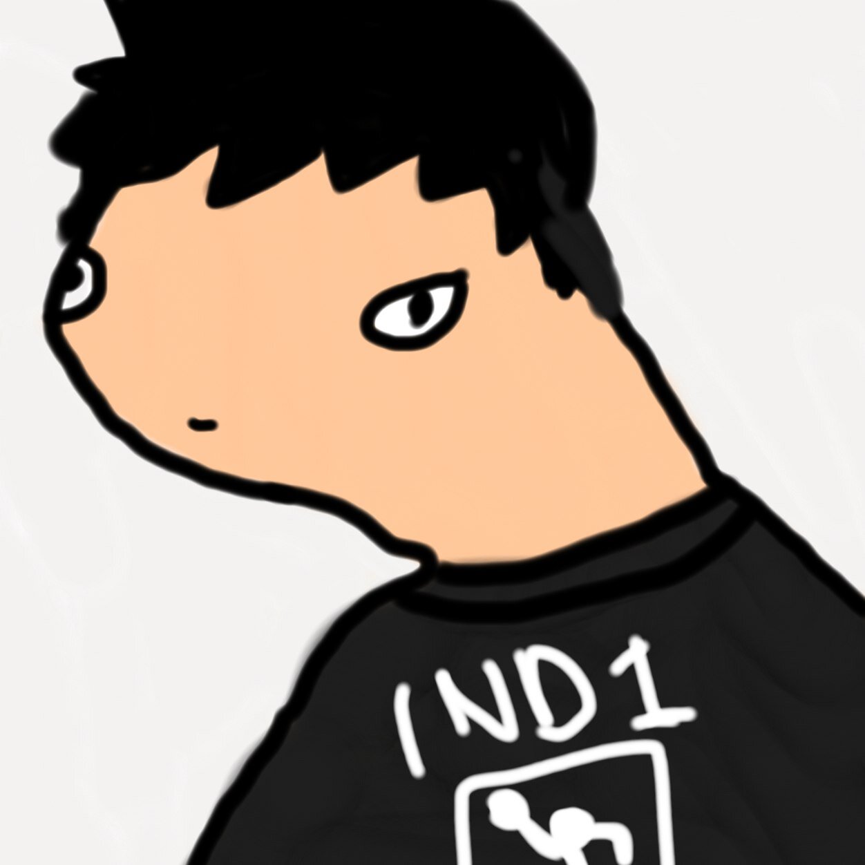 Shizem modur fokur fagit