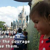 Ross Kellin (@rosskellin) 's Twitter Profile