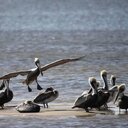 Phyllis Gonzalez - @C1CCDA - Twitter