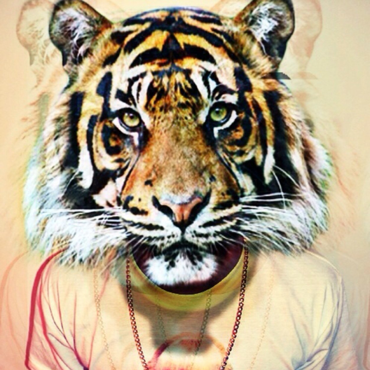 timavolkov1's profile picture. 