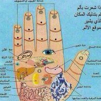 دكتورة مرام عبدالله (@drmram123456) Twitter profile photo