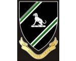 AcklamAvengers's profile picture. Women's Rugby team based in Middlesbrough - Training Wed 7pm! 💪🏉