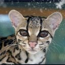 lexi murphy - @LmurpyLexi - Twitter