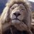 99950Mbcfm's profile image