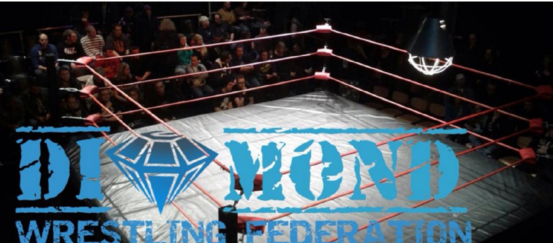 Diamond Wrestling Federation needs you!