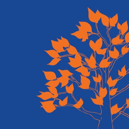 Wakefield Tree Services undertake all aspects of tree surgery & hedge cutting. We always offer a friendly professional service with the highest quality of work.