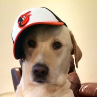 Sir Charles (@charliedog17) 's Twitter Profile