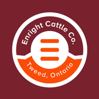 Kara Enright (@enrightcattle) 's Twitter Profile