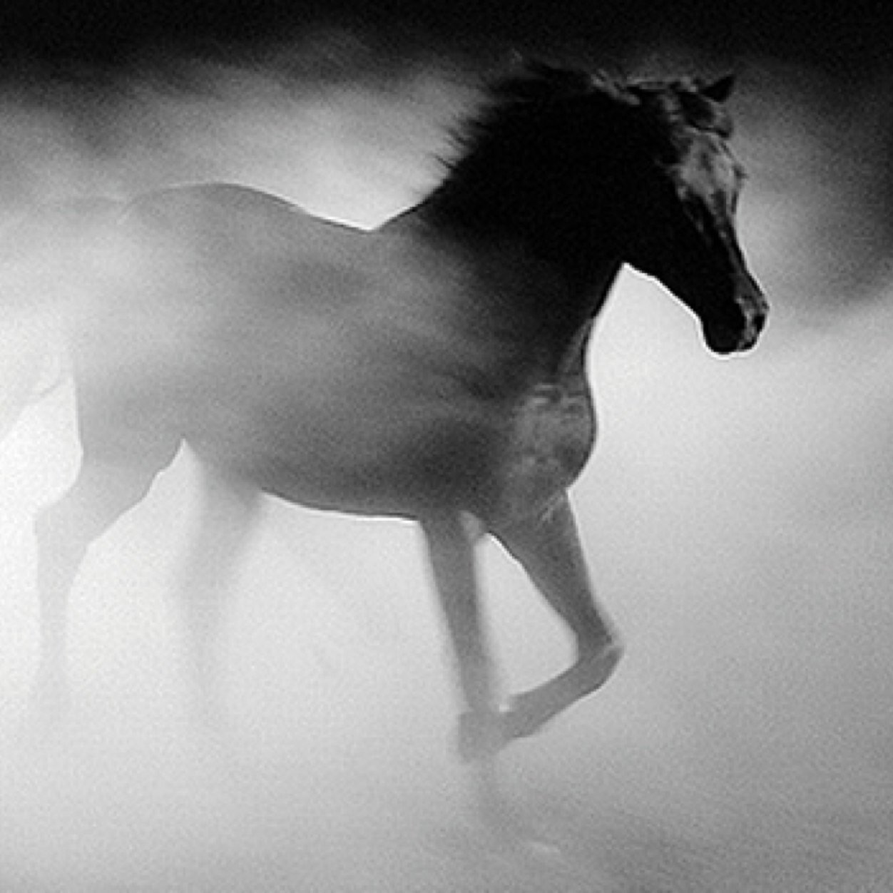 I do not gamble, I invest. My bets make money. 
I'll put all my bets on here so you can see how i make a living from betting.
Horseracinginvestor@gmail.com