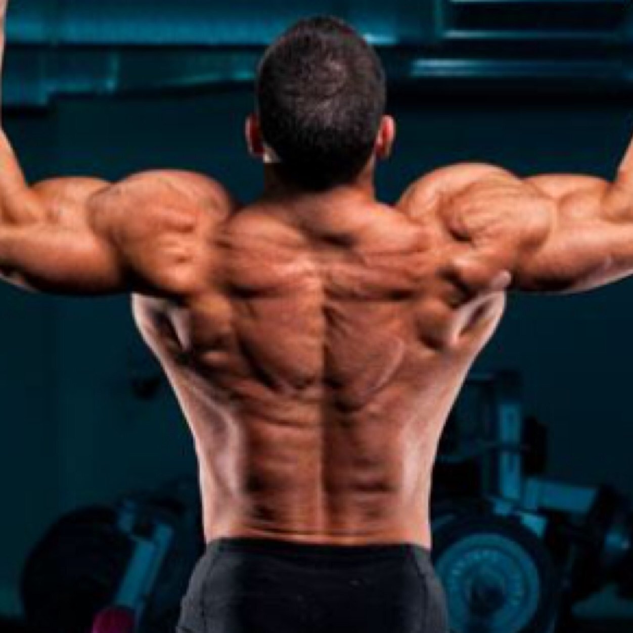 Devoted to the fitness freaks that enjoy motivational quotes and bada** fitness nonsense! 

Every day is an opportunity for greatness. -Phil Heath