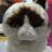 Sketch_isms's profile image