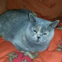 Susann Wolf - @woelfchen2009 - Twitter