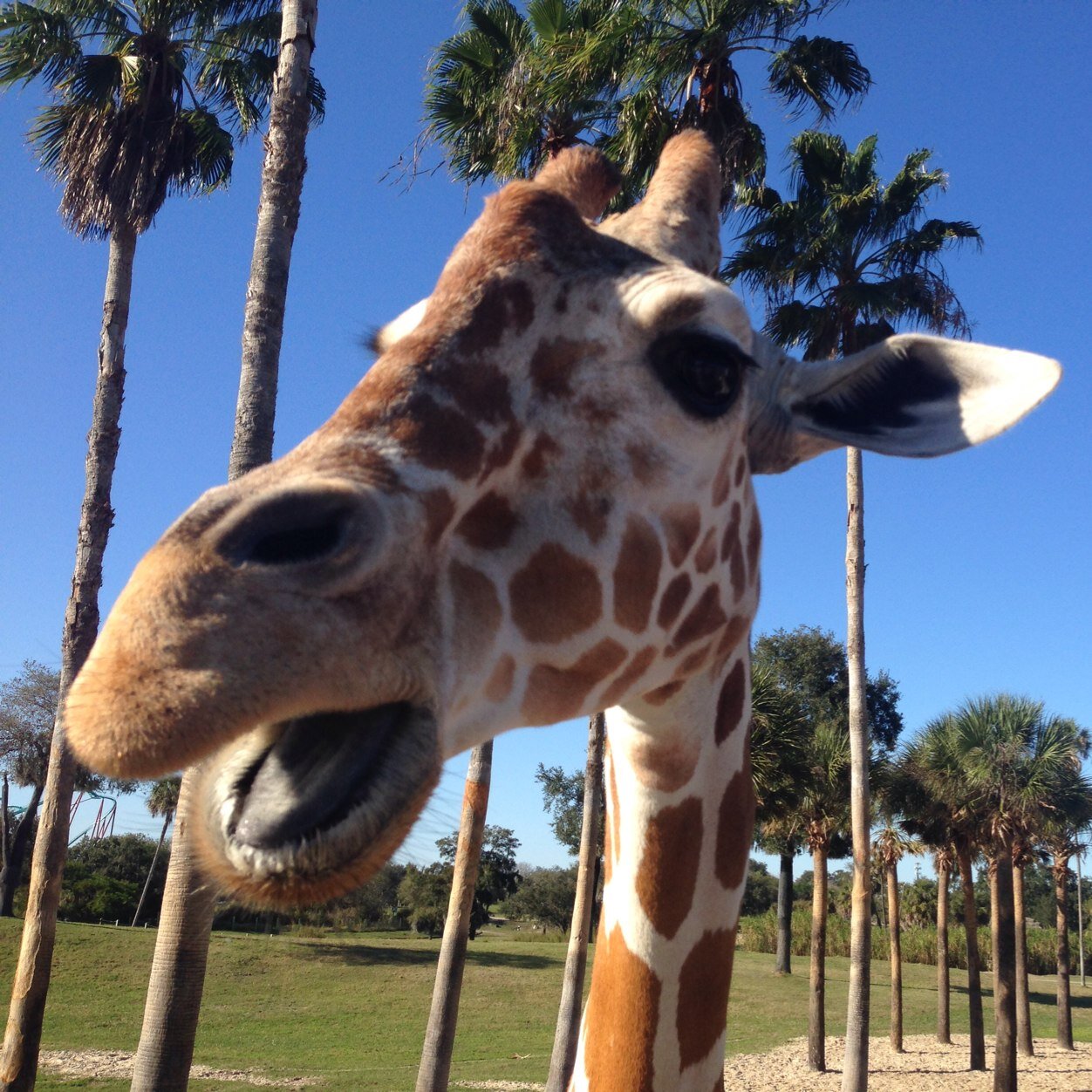 Kalokagathic's profile picture. 