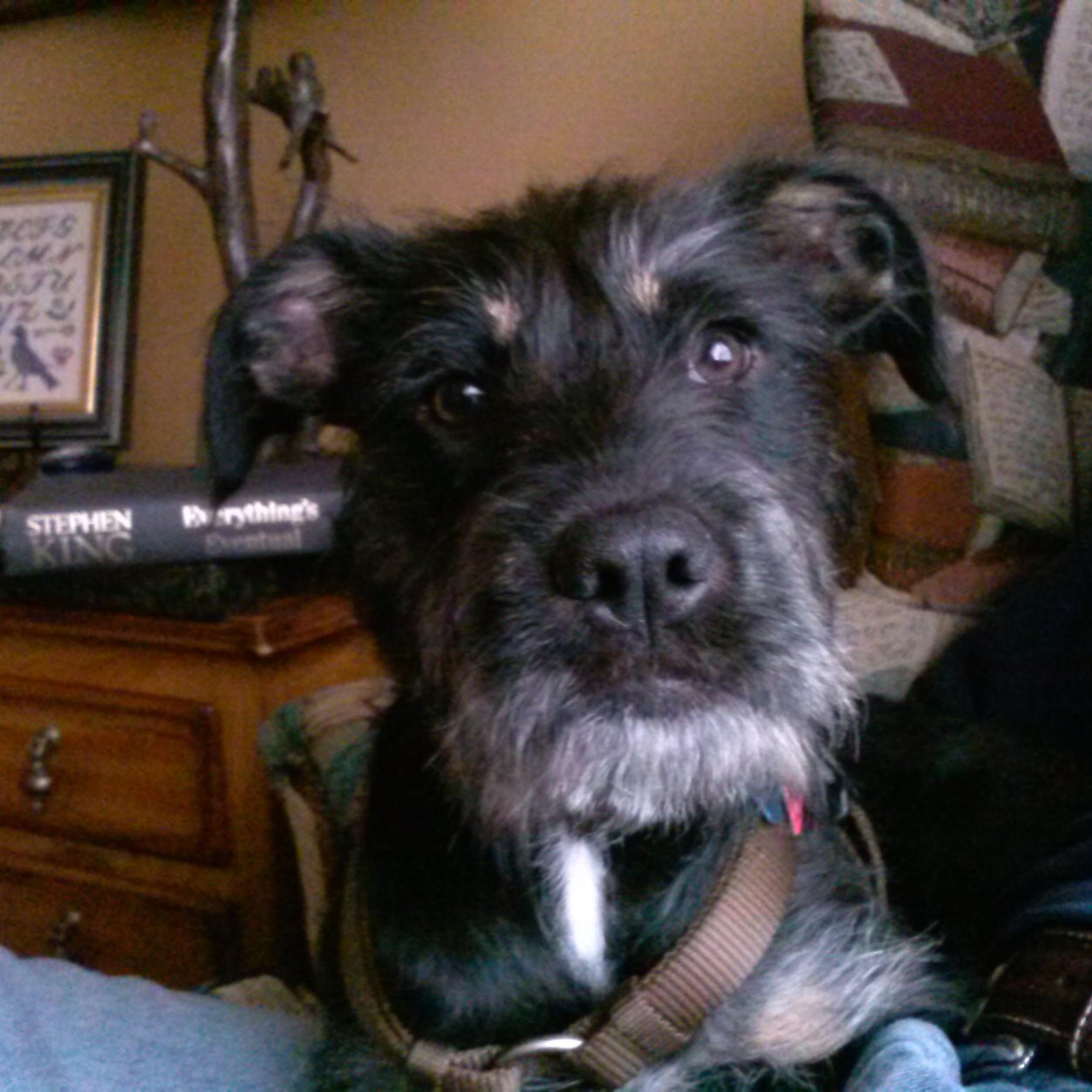 JeffcoMom's profile picture. 