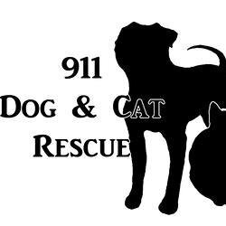 911 Dog and Cat Rescue is a non profit organization dedicated to the rescue and adoption of dogs and cats. 911 Dog and Cat Rescue is based out of Morristown, NJ