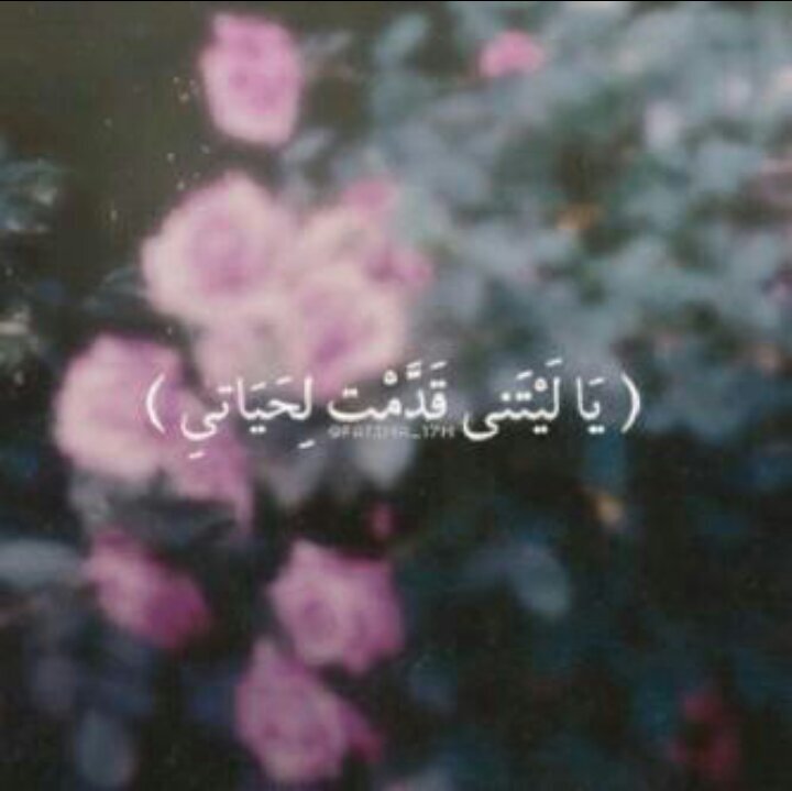 وتطيبُ الحياةَ للمرء      حين يسَتغفر