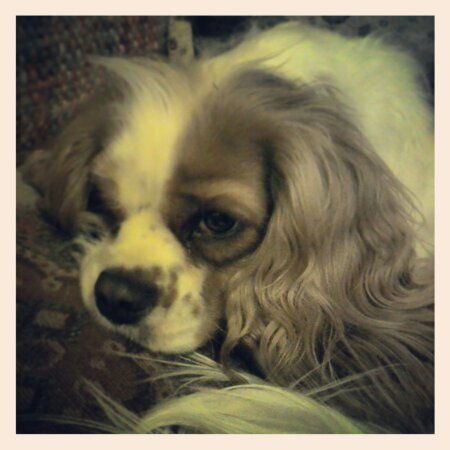 DeborahDoggett's profile picture. 