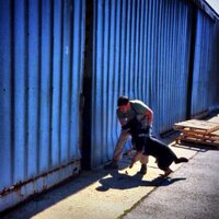 David Alviar  (@thedavidalviar) 's Twitter Profile