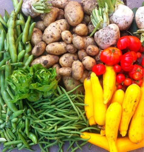 Twitter feed for Low Moor Allotments York. Shop opening times Sat 12 till 2 pm/Sun 11 till 1 pm.