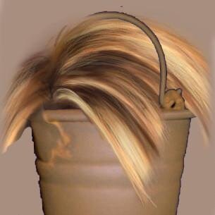 Just a bucket of Eddie's dad's hair. Nothing crazy about it. Just a normal thing. Stop staring at me.