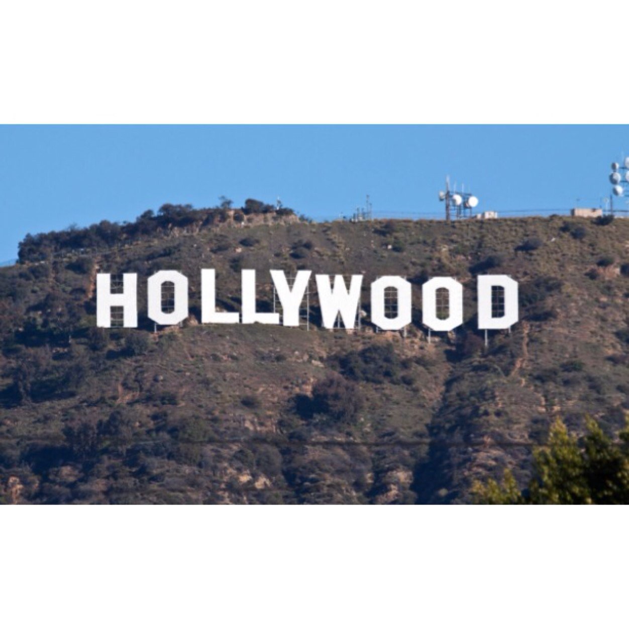 Welcome to Hollywood, this is a celebrity roleplay group. Taken roles are in our favorites.