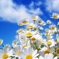 HopeApplied's profile picture. Inspiring Life Application