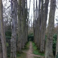 Essex Helen (@purpleheldemon) 's Twitter Profile