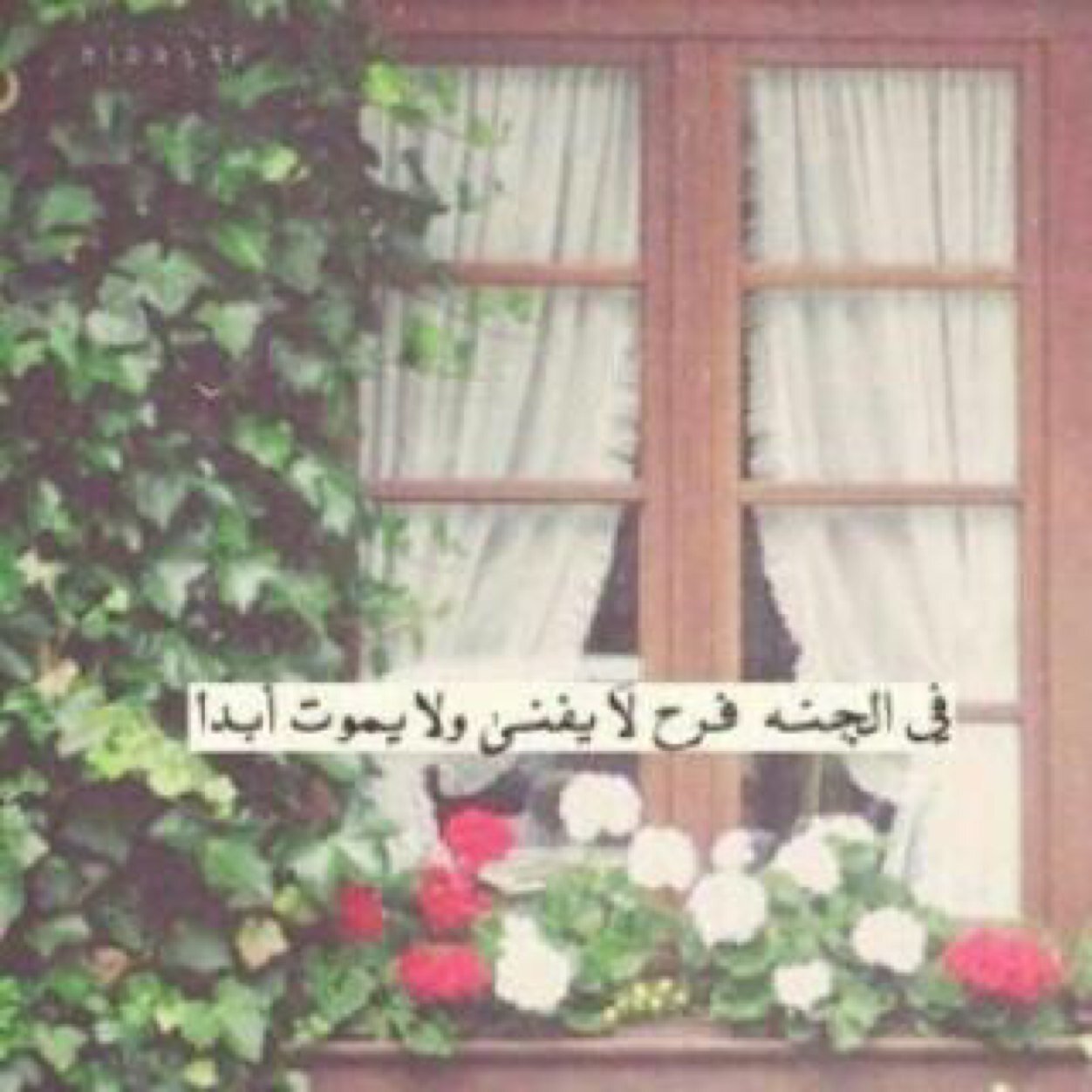 جعلته لهاوهي حيه ترزق ليكون فرجا لهافي دنياهاوزاد لها في اخرتها ربي امسح على قلبهابراحه تسر قلبها واجمعها بمن تحب تحت اشجار جنتك يا الله
