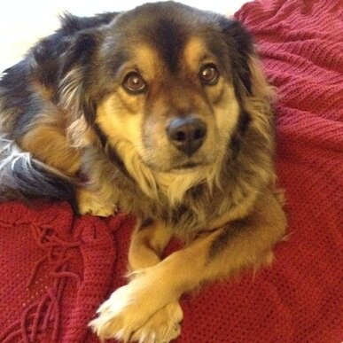 LexieBlogic's profile picture. 