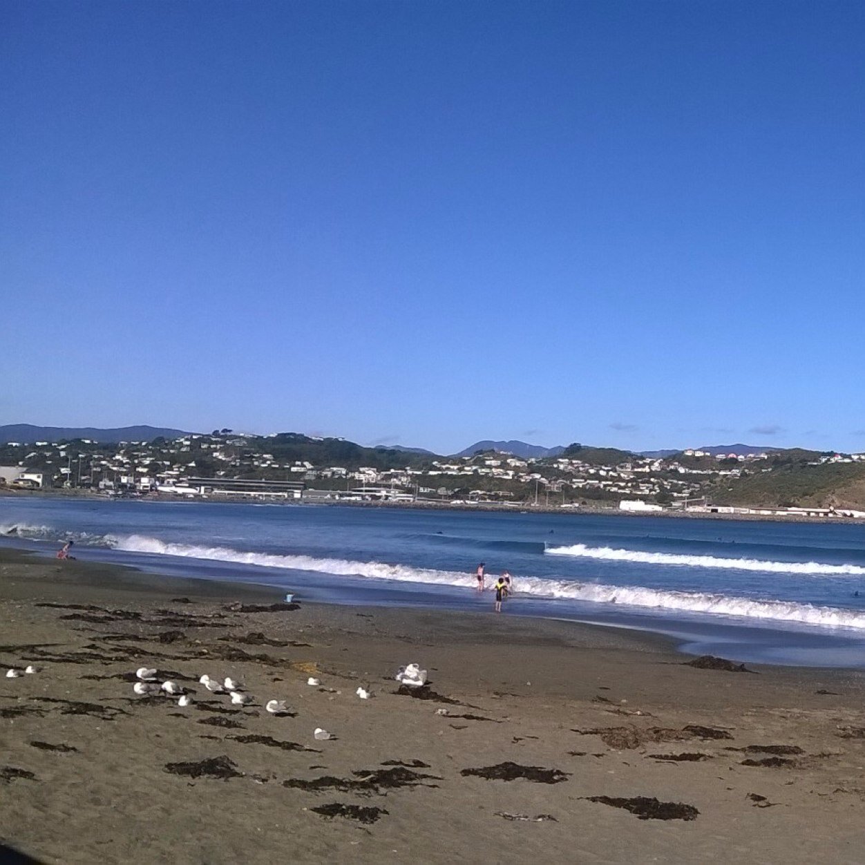 kevaliwgtn2's profile picture. 