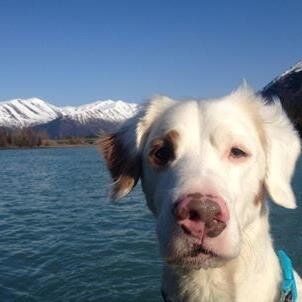 We are a custom rafting company, with great ideas and an adorable dog!