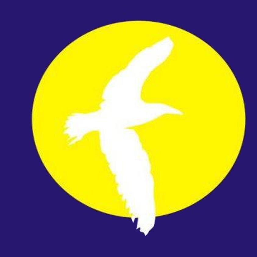 Dar a conocer las más importantes actividades de la Quinta Región e inquietudes de la comunidad.