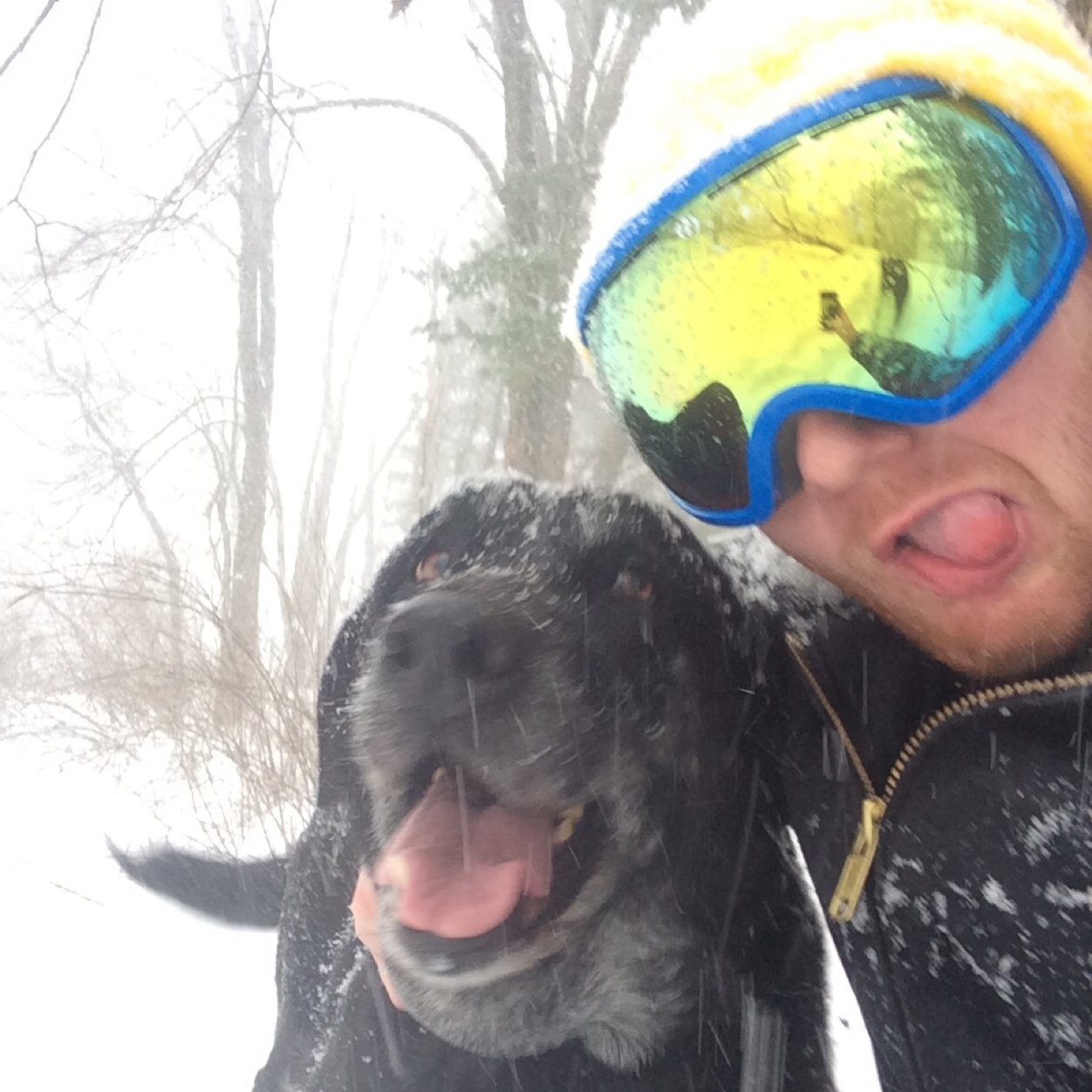 RorFuller5's profile picture. Red hair dont care