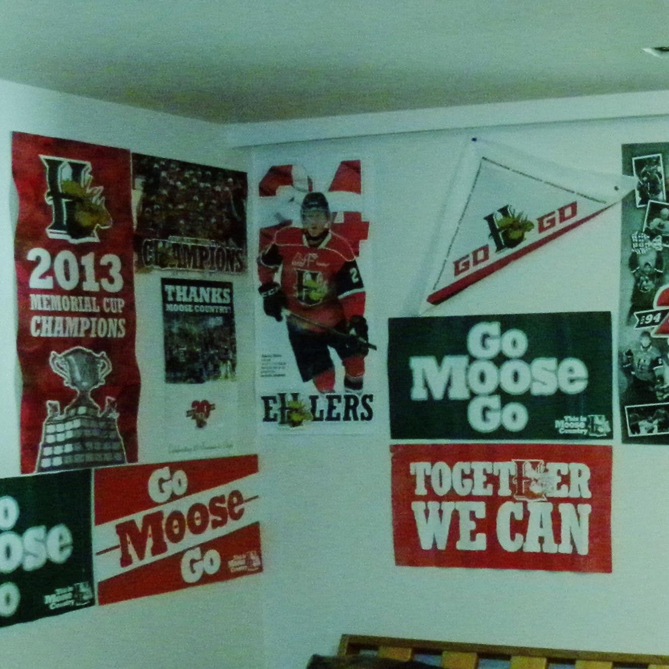 RachelleHolt8's profile picture. GOTTA LOVE THE MOOSE!!!!