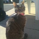 Kylie Winter - @Giahgiah24Kyky - Twitter