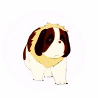 ひもの (@ikasukixxx) Twitter profile photo