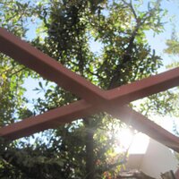 EnGedis Gate (@engedisgate) 's Twitter Profile