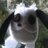 DaneStogner's profile image
