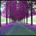 minerva sosa aleman - @yaninescarlet - Twitter