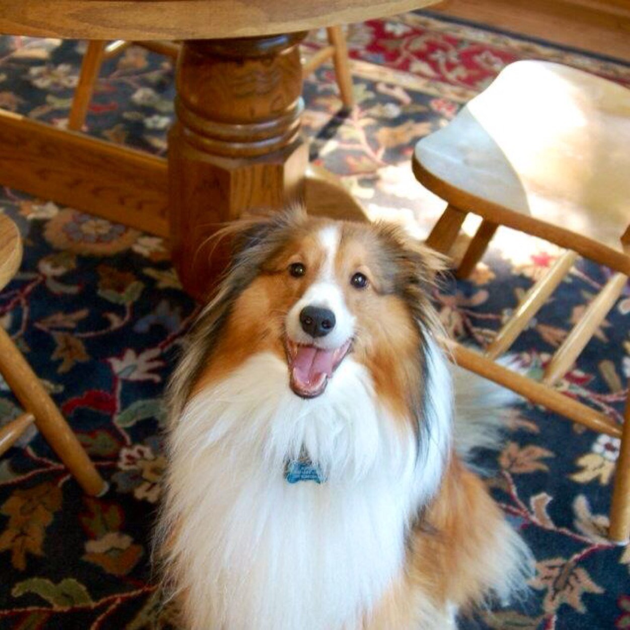 LHibschman's profile picture. 