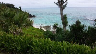 HomeWithABeer's profile picture. 