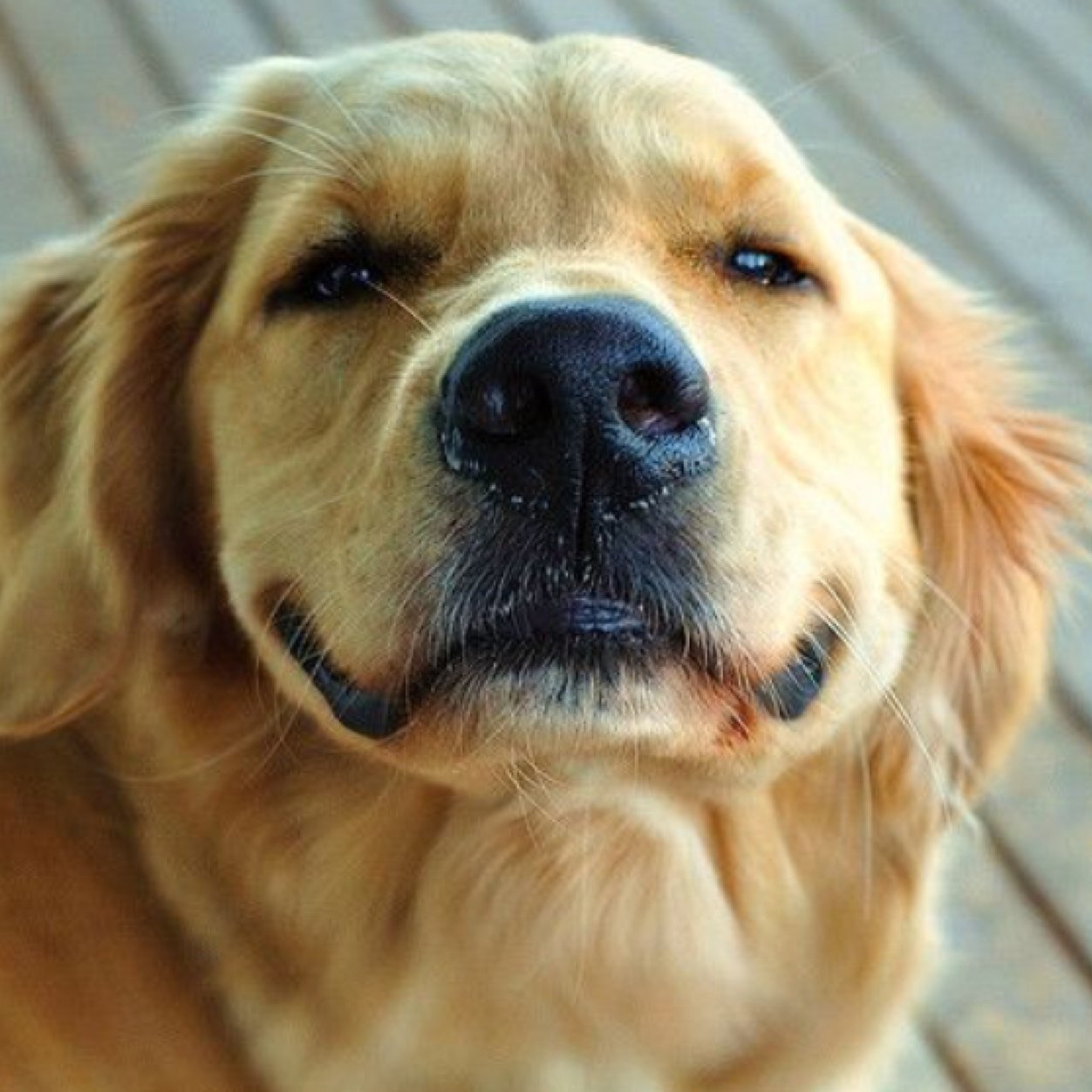 mburellii's profile picture. 