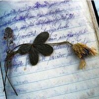 PoesiaèVita (@poesiaevita) 's Twitter Profile