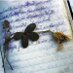 PoesiaèVita (@poesiaevita) Twitter profile photo PoesiaèVita (@poesiaevita) Twitter profile photo