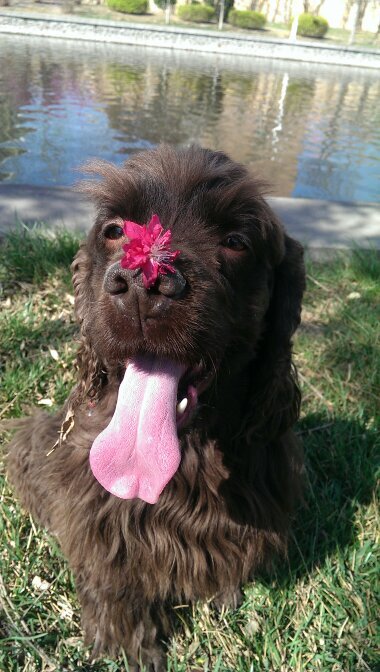 Yvetteswing's profile picture. 