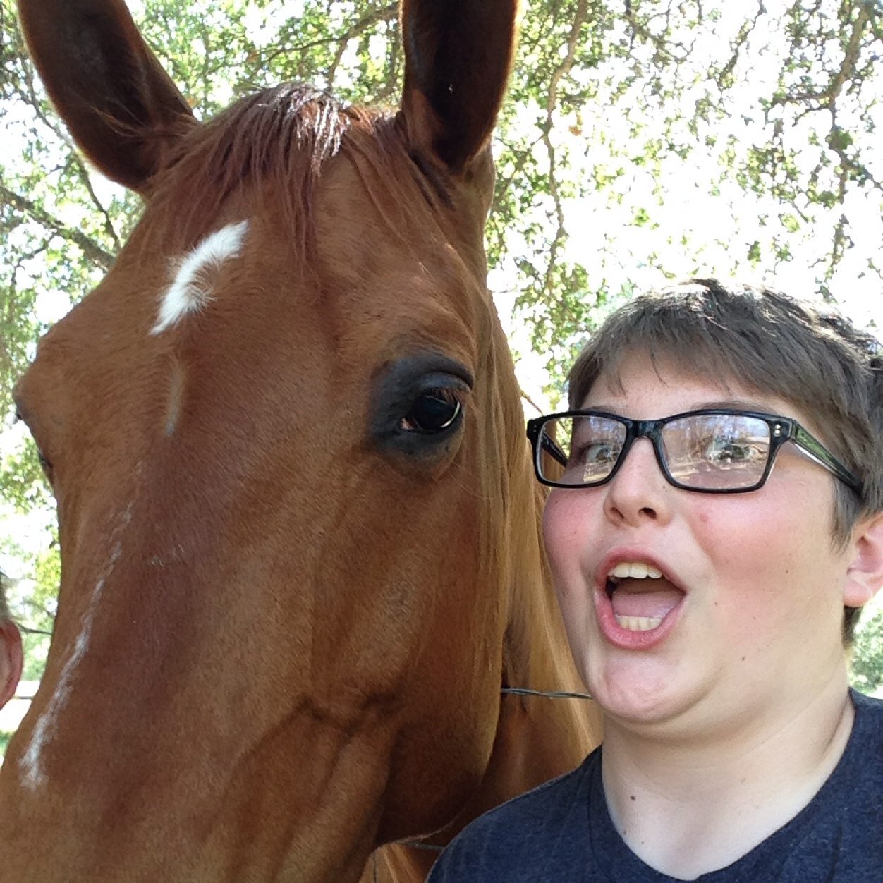 JoshBowen14's profile picture. 