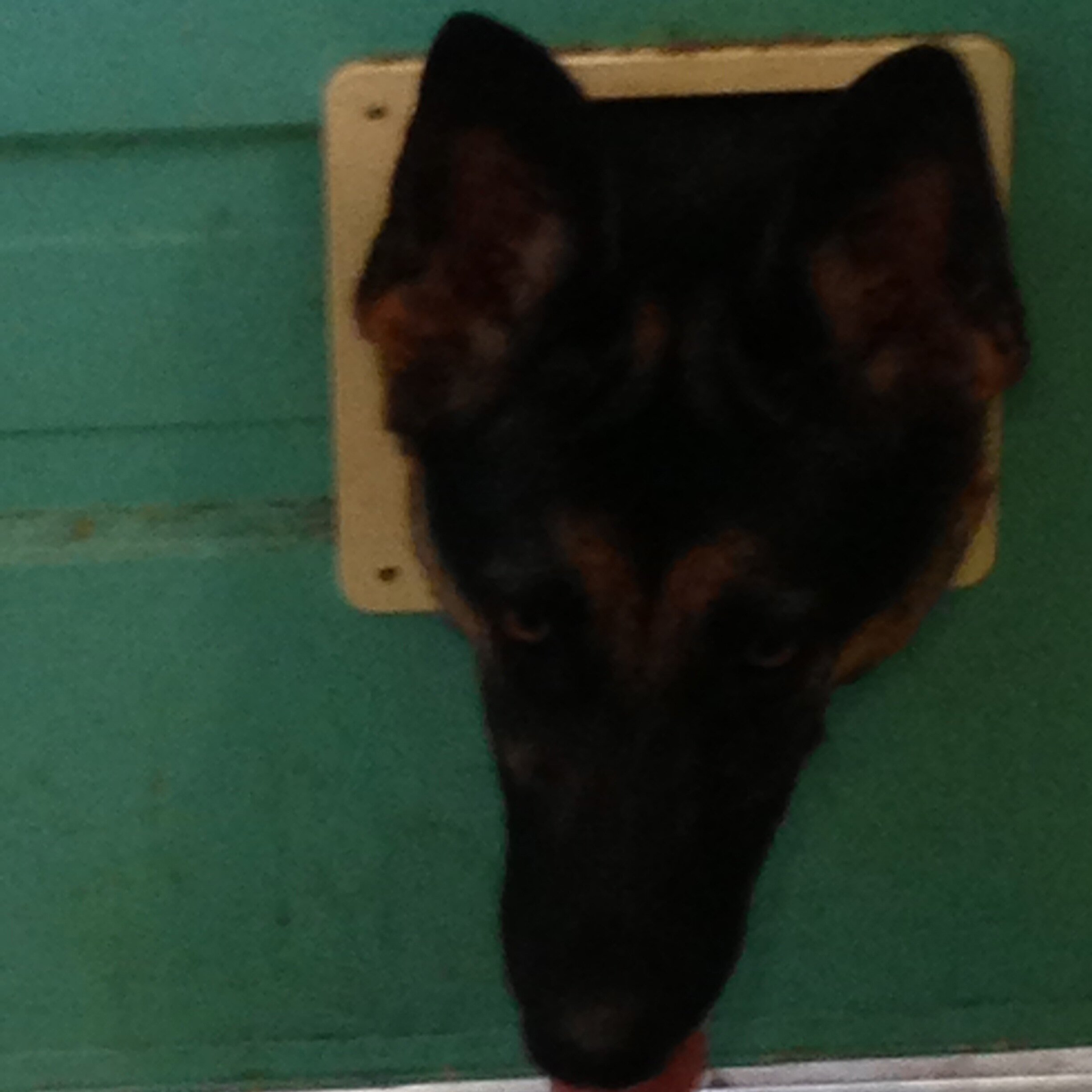 jackdyer's profile picture. Department Supervisor at The Home Depot