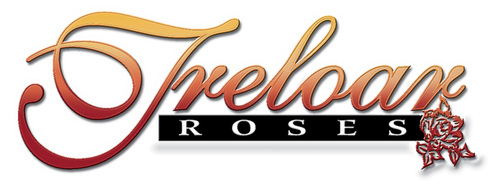 Treloar Roses
